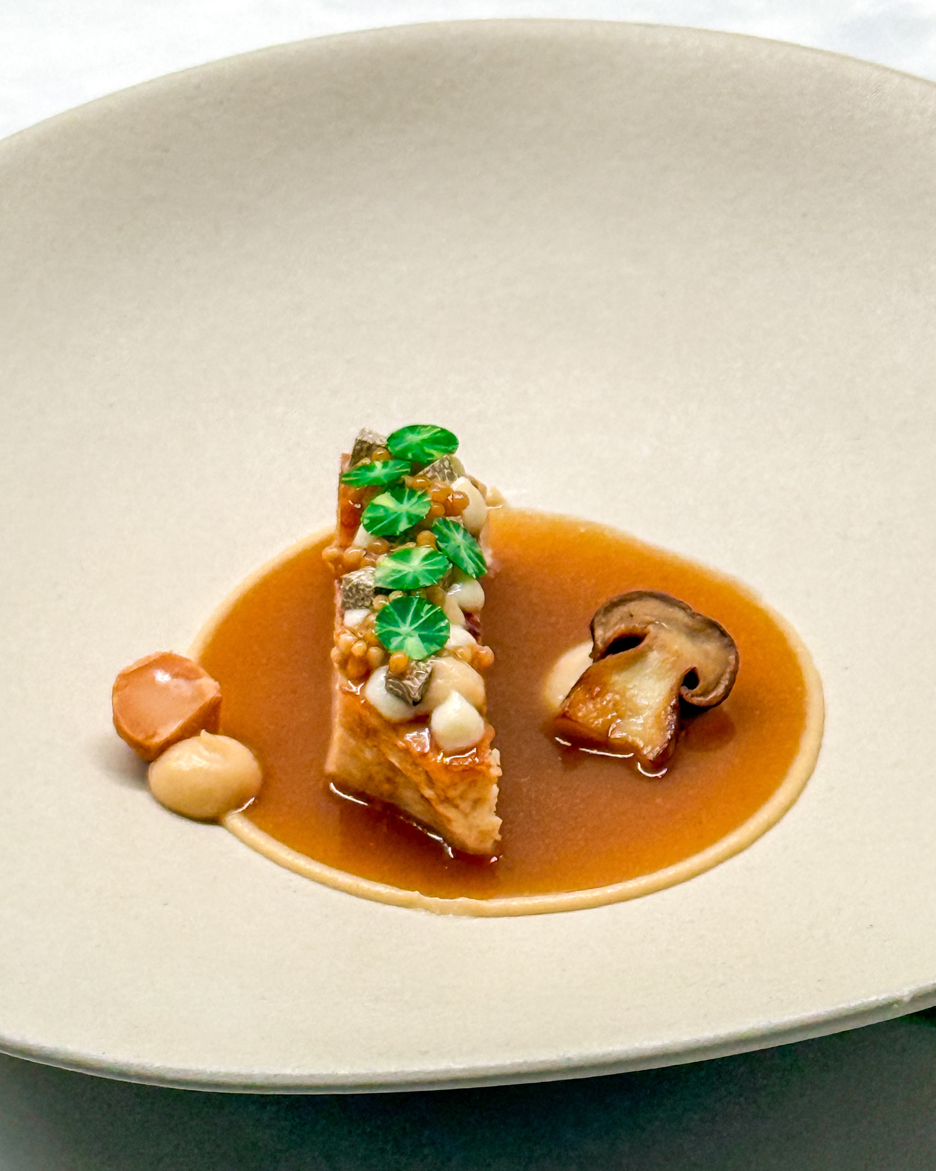 🍗🍄‍🟫 Parelhoen • Zoete ui • Eekhoorntjesbrood
🇬🇧🍗 Guinea fowl • Sweet onion • Porcini mushroom

Superlekker! Een heerlijk stukje gebakken parelhoen met erop allemaal lekkere smaken: crème van zoete uien, crème van aardpeer met miso, blokjes herfsttruffel, ingemaakt mosterdzaad en uitgestoken blaadjes Oost-Indische kers 🌿 

De cirkel rondom is ook aardpeer met miso en je ziet een geroosterde macadamia. Verder staat naast de parelhoen een dotje crème van zoete uien met hierop gebakken eekhoorntjesbrood 🍄‍🟫 

Met een heerlijke marsalasaus maakte ik dit gerechtje af 😋 

📌 Op haroldkookt.nl vind je recepten voor aardpeer-misocrème, zoete uiencrème (later vandaag), marsalasaus en ingemaakt mosterdzaad.

✌️