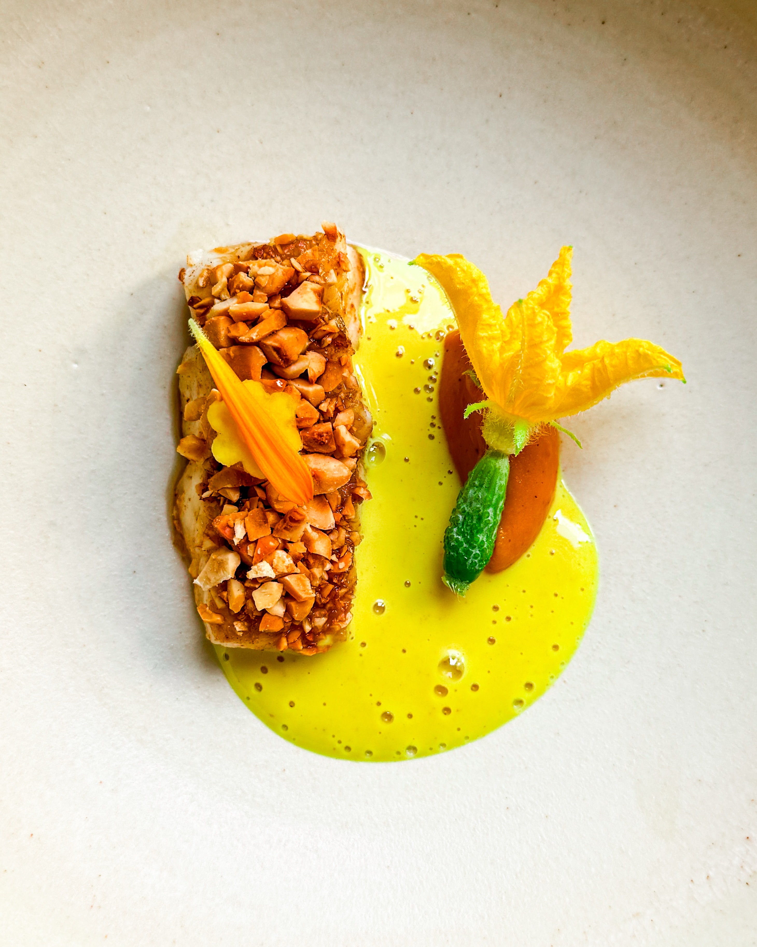 🐟🎃 Snoekbaars • Pompoen • Curry
🇬🇧🐟 Pike perch • Pumpkin • Curry

Smaakbommetje! Een heerlijk gebakken stukje zeebaars, gelakt met appelstroop en bedekt met geroosterde hazelnoot 🌰 

Ernaast pompoencrème met vadouven (een persoonlijke favoriet) en een heerlijk kruidige currysaus. Een blaadje goudsbloem en een prachtige komkommerbloem maken het voor mij helemaal af 🥒 

✌️