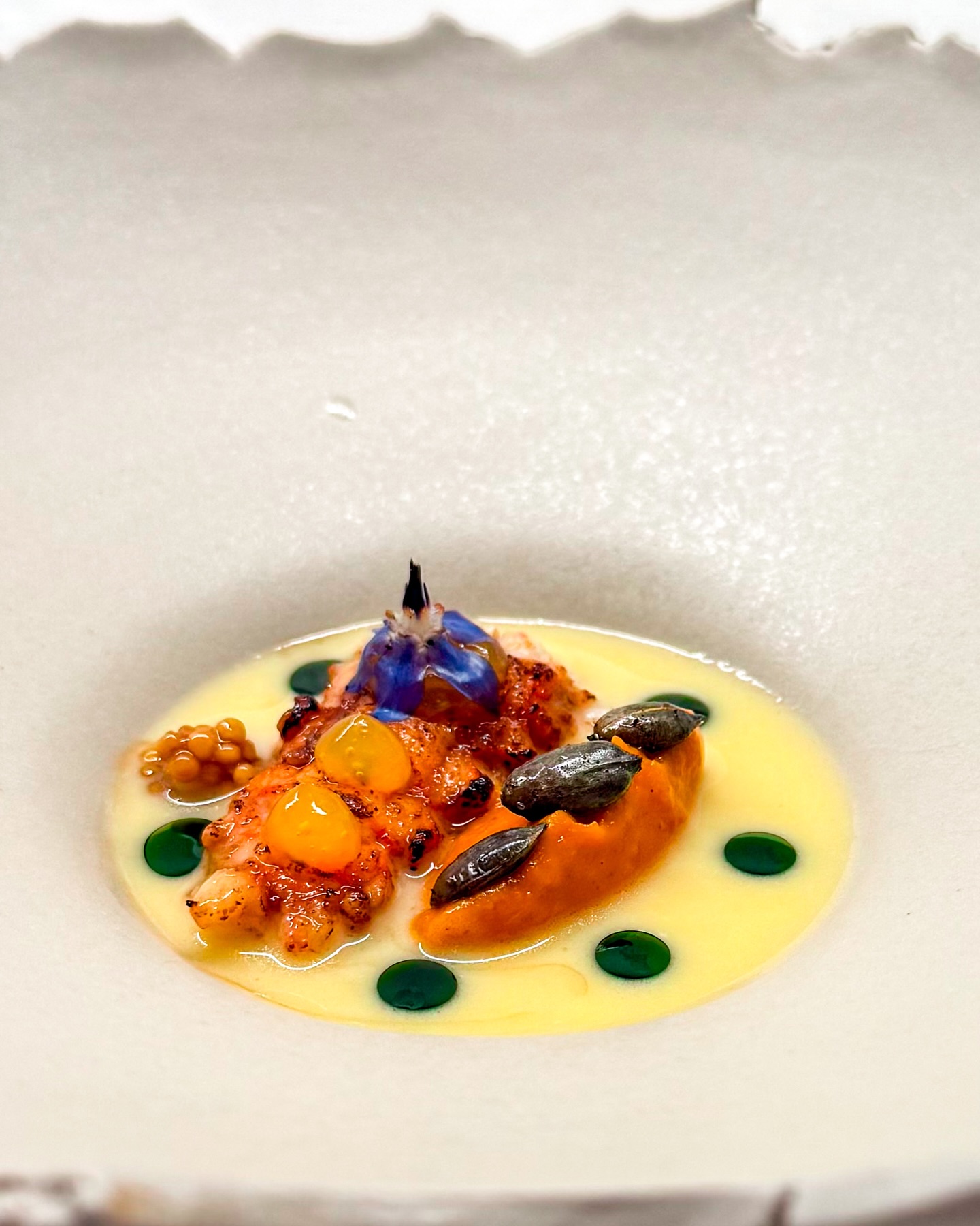 🦞🍋 Langoustine • Rode curry • Citrus
🇬🇧🦞 Norway lobster • Red curry • Citrus

Langoustine is een van mijn favoriete schaaldieren. Het is wat verfijnder dan kreeft, zachter qua structuur en subtieler in smaak. En ook wat lastiger om aan te komen dus als ik ze zie gaan er altijd wel een paar mee 🦞 

In dit gerecht heb ik de langoustinestaarten kort gebakken, geroosterd met een gasbrander en afgelakt met unagi saus. Hiernaast ligt een heerlijke crème van pompoen met rode curry met erop geroosterde pompoenpitten 🎃 

Op de langoustine staan dotjes yuzugel en de laatste boragebloem uit mijn tuin van dit jaar. De saus is een lekker frisse citrus beurre blanc en zoals wel vaker maakte ik dit heerlijke gerechtje af met een paar druppels diepgroene kruidenolie 🌿

✌️
