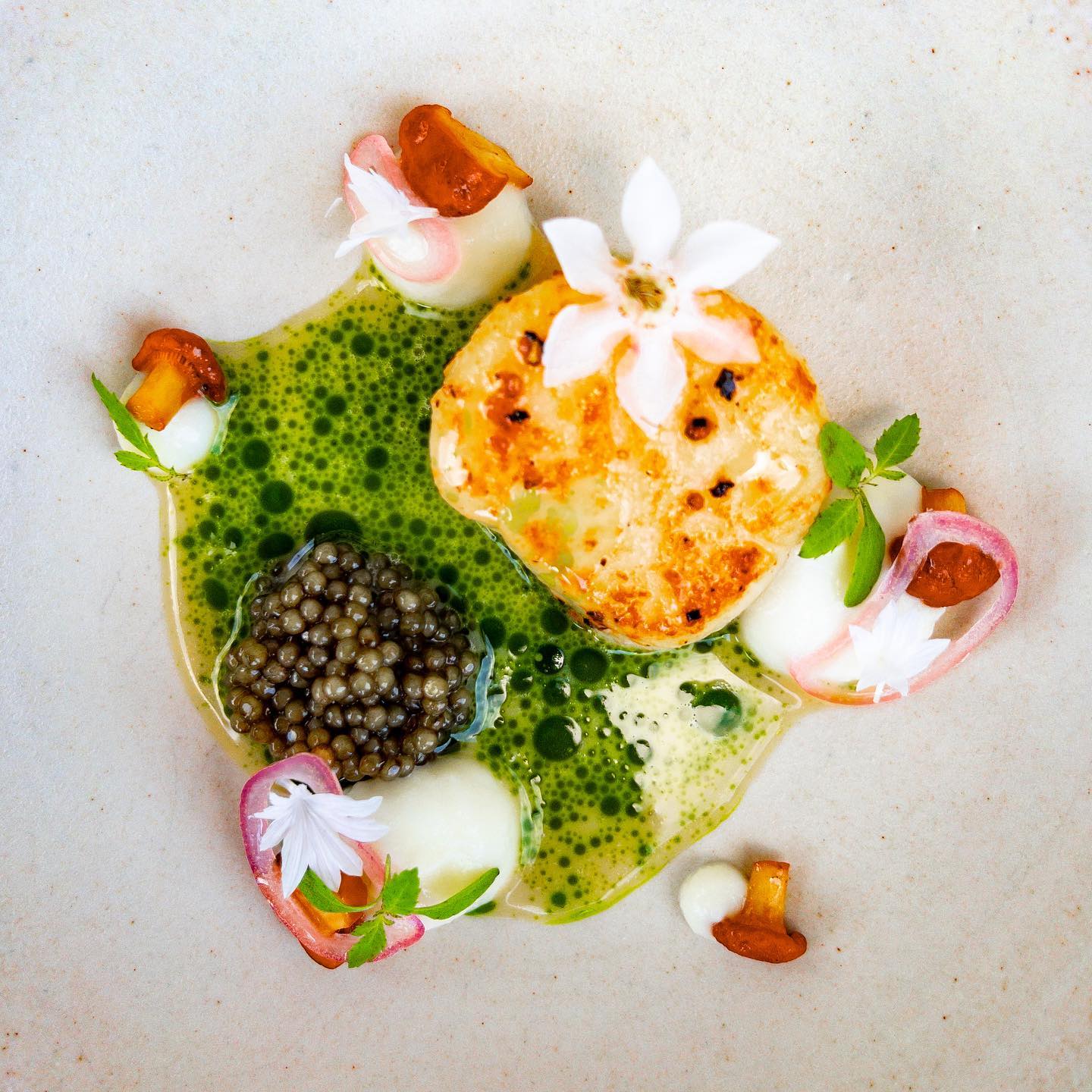 277406004_401728188620412_7572550469208800989_n Harold Kookt