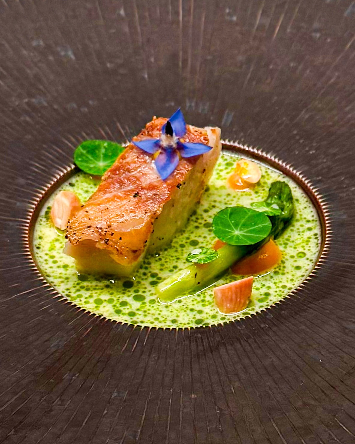 🐟🎃 Koolvis • Vadouvan • Pompoen
🇬🇧🐟 Pollack • Vadouvan • Pumpkin

Een mooi stukje gebakken koolvis met daarbij een heerlijke puree van pompoen met vadouvan-kruiden. Verder zie je een geblancheerde groene asperge en stukjes geroosterde amandel 🌰 

Op de koolvis staat een dotje piccalilly voor een fijn zuurtje. De saus is beurre blanc van gefermenteerde asperge, gemengd met wat vijgenbladolie 🌿 

Een mooie boragebloem en uitgestoken blaadjes Oost-Indische kers maken dit gerechtje af 🌱 

Het recept van de pompoencrème vind je snel op haroldkookt.nl, hou mijn stories daarvoor in de gaten 📌 

✌️ 

#finediningathome #seafood #almond #asparagus #figs #herbs