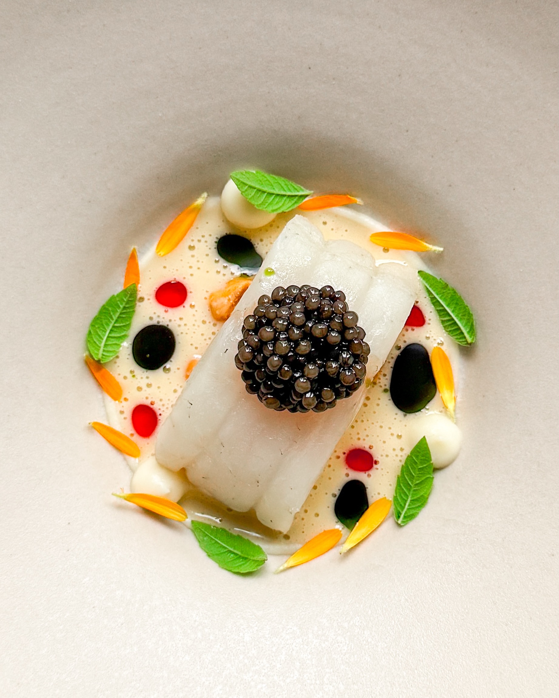🐟🌿 Tarbot • Pastinaak • Witte asperge🇬🇧🐟 Turbot • Parsnip • White asparagus Maandag mocht ik weer wat kaarsjes uitblazen; een mooi moment om een extra feestelijk gerechtje te maken 🎉 🐟 Je ziet een mooi stukje tarbot, sous vide gegaard in beurre noisette. Het ligt op wat ontvelde walnoten. Dat velletje is bitter, wilde ik niet in dit gerecht. En op deze manier versterkte het de nootachtige smaak van de kaviaar die je op de vis ziet liggen.De cirkel rondom is van lekker romige pastinaakcrème en de saus een beurre blanc met witte asperge. In de saus zie je druppels kruidenolie en chiliolie 🌶️ Ik maakte dit heerlijke gerechtje af met blaadjes goudsbloem en verveine 🌿 ✌️