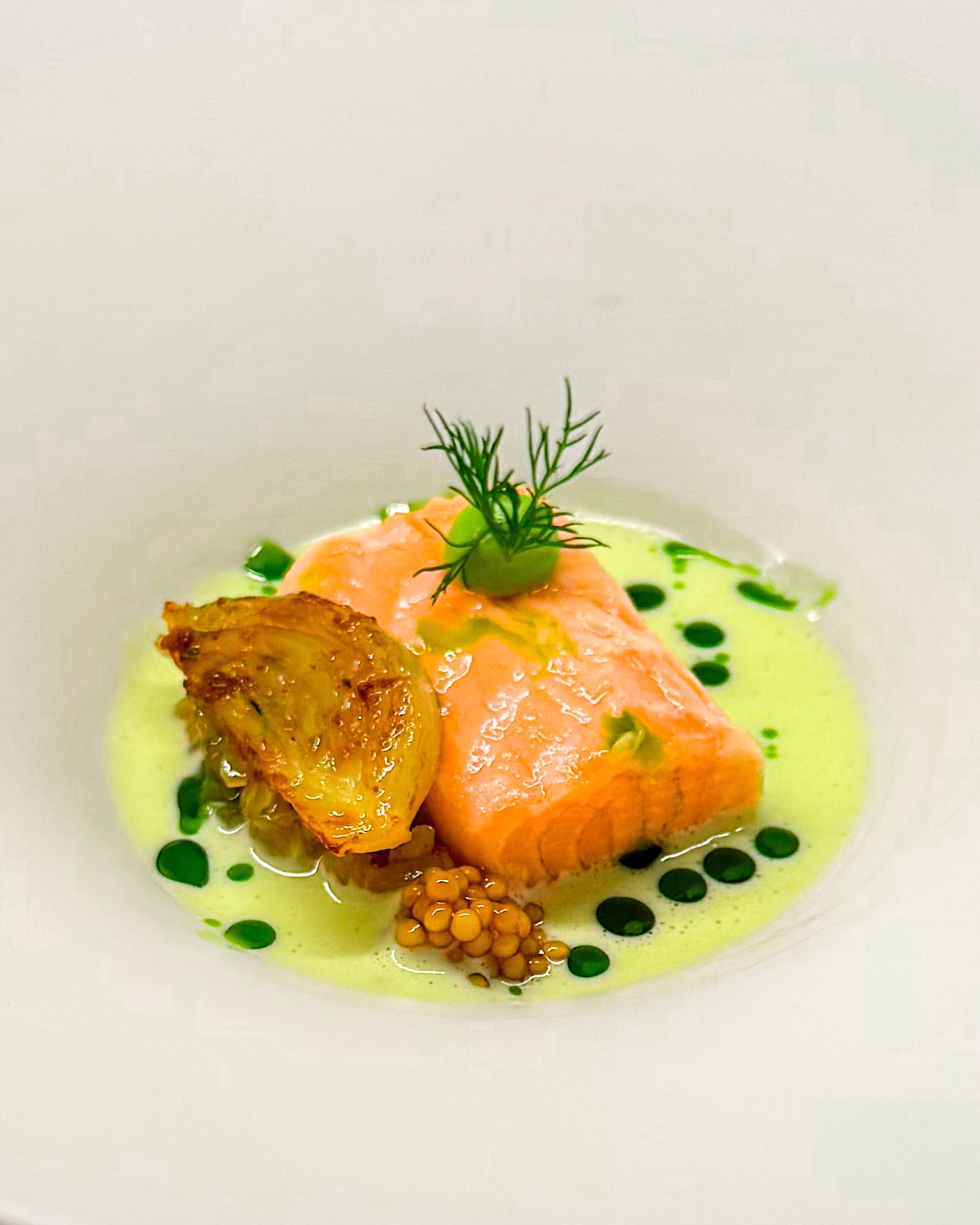 🐟🌿 Zalm • Venkel • Dille
🇬🇧🐟 Salmon • Fennel • Dill

In de kerstvakantie heb ik een paar heerlijk decadente gerechten gemaakt. Die komen zeker nog voorbij maar voor de variatie nu een gerecht zonder die luxe ingrediënten 👨🏼‍🍳 

🐟 Een heerlijk stukje zalm, sous vide gegaard in een marinade van mosterd, suiker en azijn. Hiernaast ligt compote van venkel met erop venkel ‘fondant’. Op de zalm een dotje jalapeño mayonaise 🌶️ 

Verder zie je nog wat ingemaakt mosterdzaad. Ik maakte dit lekkere gerechtje af met dille beurre blanc en wat kruidenolie 🪴 

✌️