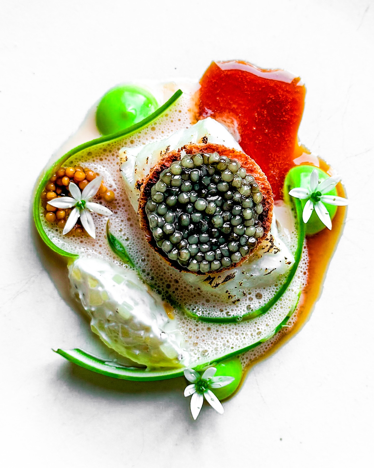 🐟🌺 Snoekbaars • Asperge • Magnolia
🇬🇧🐟 Pike perch • Asparagus • Magnolia

Wow! Ik ging deze week over 80.000 volgers heen, hoe gaaf is dat?! Enorm veel dank voor alle support, reacties, vragen en likes! 🙏 

Om dat moment te vieren maakte ik dit heerlijke gerechtje. Te beginnen met een dikke streep unagi lak, gemaakt van Tomasu sojasaus, dashi, mirin, sake en suiker. Hierop ligt een mooi stukje gebakken snoekbaars 🐟 

Voor het feest ligt hierop een geroosterd schijfje zuurdesembrood met lekker wat Osietra kaviaar. Naast de vis zie je een quenelle van witte asperge met crème fraîche en daarnaast ingemaakt mosterdzaad. Een paar dotjes bieslookmayonaise zorgen voor een frisse toets en wat kleur 🌿 

Met een paar daslookbloemen en een beurre blanc met magnolia maakte ik dit gerechtje af 🌺

✌️