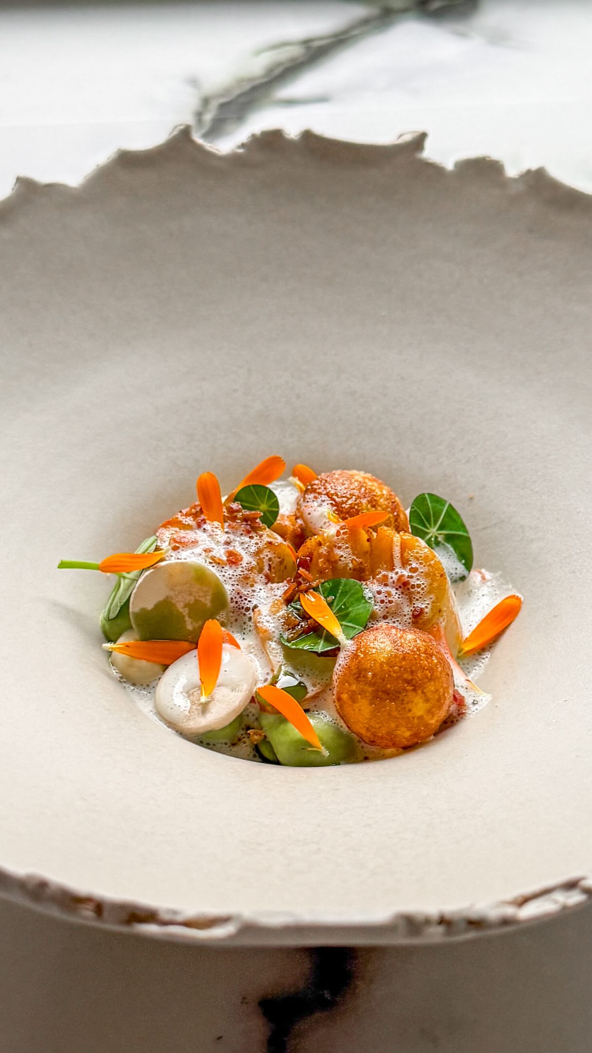 🎥🐚 Opmaken van een coquille gerechtje🇬🇧🐚 Plating a scallop dishEen superlekker gerechtje! Te beginnen met dubbelgedopte doperwten en tuinbonen met hierop twee gebakken coquilles 🐚 Vervolgens crème van aardpeer met miso en doperwtencrème. Dan gebakken cantharel, plakjes rauwe champignon, lekker krokante pommes soufflé en blaadjes Oost-Indische kers 🌿 Dan wat bacon, goudsbloem, peterselie-olie en een heerlijke saus om het af te maken: vin jaune saus 🤩 ✌️