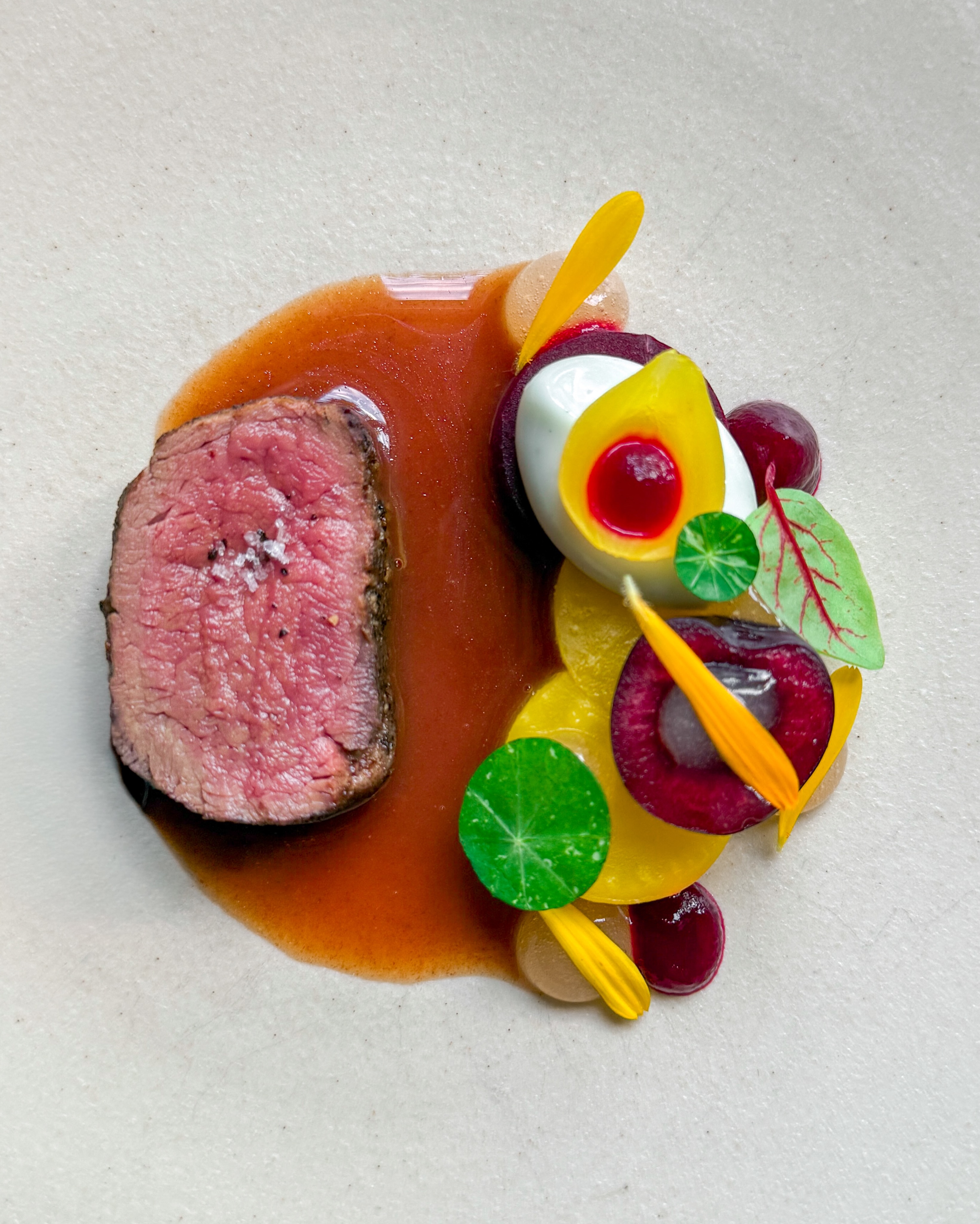 🥩🫜 Hertenhaas • Biet • Roquefort
🇬🇧🥩 Venison • Beetroot • Roquefort

Het idee begon bij heerlijke Hollandse kersen; volop in het seizoen. Ik bedacht welke smaken hier goed bij zouden passen en kwam snel uit bij blauwe kaas en bietjes. En ree, maar dat vond ik nergens dus het werd hert 🦌 

Gele en rode biet heb ik gepoft en van de rode maakte ik ook puree. Verder zie je dotjes appelgel, een halve kers, een Amsterdams uitje en een quenelle van Roquefortcreme 🧀 

Een heerlijke portsaus en blaadjes Oost-Indische kers, goudsbloemen en rode zuring maken dit heerlijke gerechtje compleet 🌿 

✌️