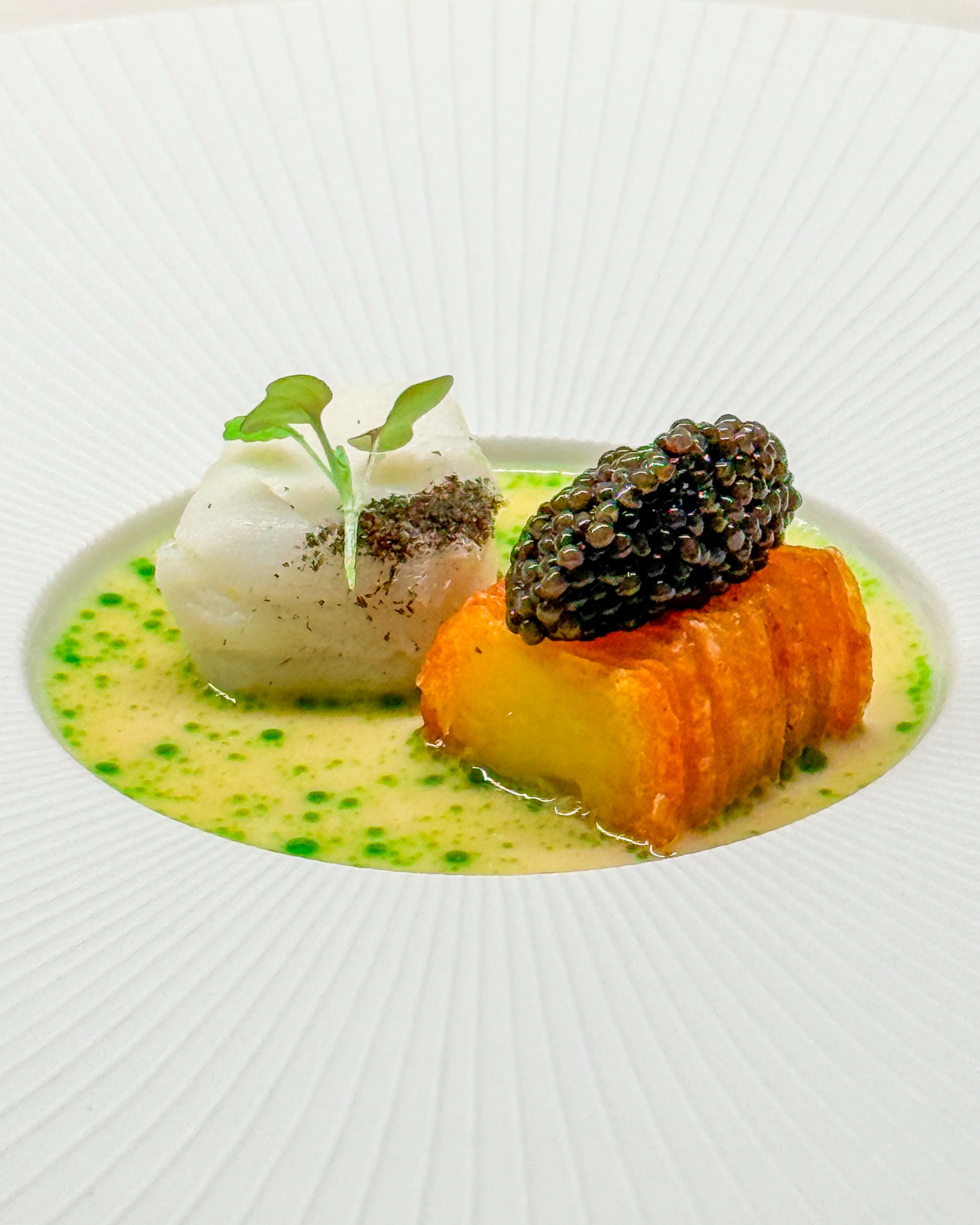 🐟🥔 Kabeljauw • Pommes Paolo • Osietra kaviaar
🇬🇧🐟 Cod • Pommes Paolo • Osietra caviar

Soms heb ik gewoon zin in een lekker decadent gerecht. Of nou ja, altijd wel… Maar dan gaat het bijzondere er natuurlijk snel vanaf. Na deze werkweek vond ik dit het juiste moment.

Je ziet een lekker stukje kabeljauw, sous vide gegaard met hierop een beetje gedroogde kaviaar. Ernaast Pommes Paolo met een mooie hoeveelheid Osietra kaviaar. Die combinatie blijft briljant…

Saus op basis van vin jaune met hierdoor kruidenolie maakt dit heerlijke gerechtje helemaal af.