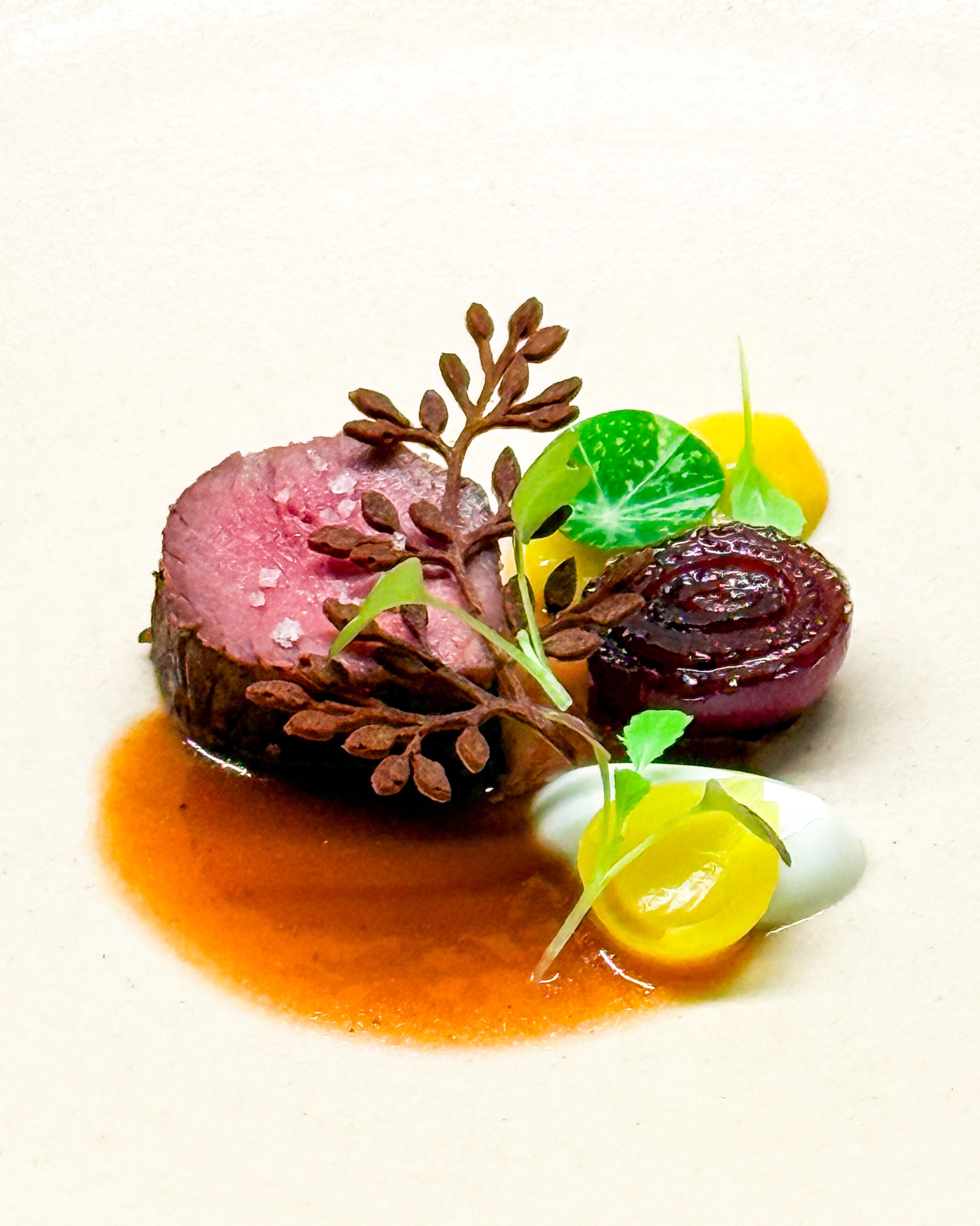 🥩🧀 Hertenbiefstuk • Roquefort • Morille
🇬🇧🥩 Venison • Roquefort • Morel

Dit vind ik zo’n mooie combinatie; een prachtig stukje vlees met Roquefort en gekaramelliseerde rode ui 🧅 

Ik vulde het aan met piccalilly, een Amsterdams uitje, een krokantje van zwarte knoflook en heerlijke morillesaus 🍄‍🟫 

Blaadjes Oost-Indiache kers en mosterd cress maken dit gerechtje af 🌿 

Op haroldkookt.nl vind je recepten voor de Roquefort-crème, morillesaus, krokantje van zwarte knoflook en gekaramelliseerde ui. Net als nog veel meer componenten trouwens… 📌